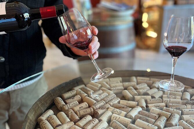 Private Full Day Wine Tour in Provence From Marseille cruise port - What Travelers Say About This Tour