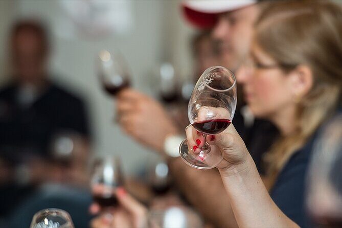 Private Full Day Wine Tour in Provence from Toulon Cruise Port - What Makes This Tour Stand Out?