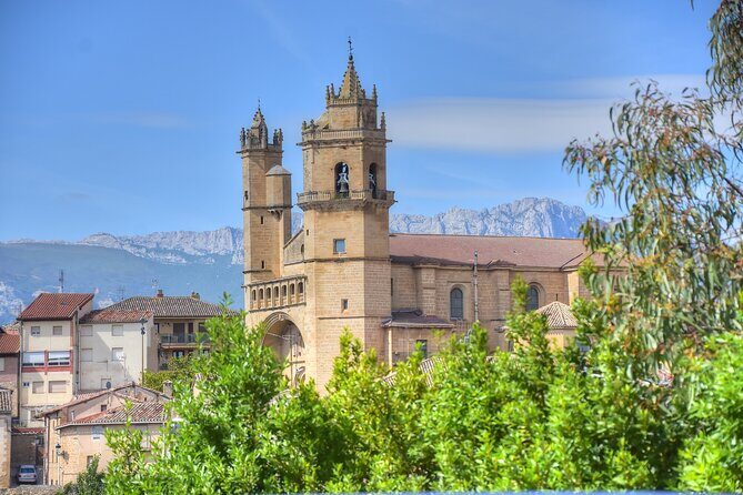 Private Full Day Wine Tour in Rioja - Authentic Experiences and Guest Insights