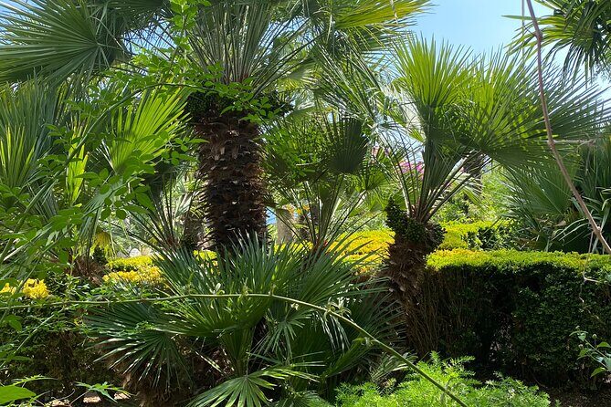 Private Game of Thrones Tour with King's Landing Garden - Who Would Benefit Most?