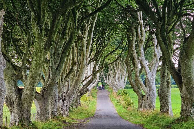 Private Giants Causeway Express Tour - Who Should Consider This Tour?
