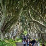 Private Giants Causeway Tour From Belfast - An In-Depth Look at the Tour Itinerary