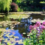 Private Giverny Roundtrip and Entrance Ticket from Paris - Analyzing the Tour’s Value