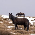 Private Granada Tour in Sierra Nevadas Summits - What to Expect on the Day