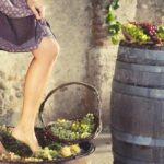 Private Grape stomping at Chianti Farmhouse - Who Is This Tour Best For?