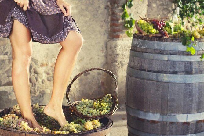 Private Grape stomping at Chianti Farmhouse - Who Is This Tour Best For?