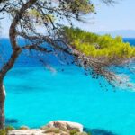 (Private group)Swimming and relax in beautiful beaches. - Practical Tips for Making the Most of Your Beach Day