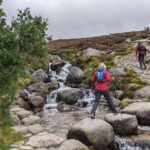 Private Guided Discovery Walk in the Cairngorms - Final Thoughts