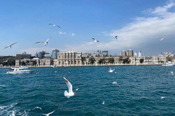 Private Guided Highlights of Istanbul 1.5 Day Tour - Analyzing the Value: Price and Experience