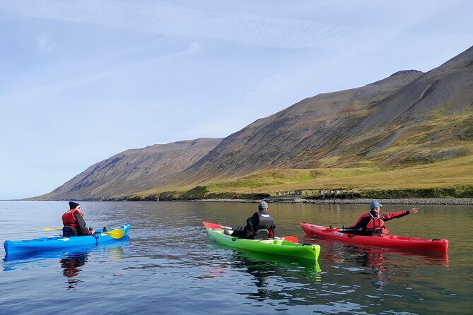 Private: Guided kayak tour in Siglufjörður / Siglufjordur. - The Sum Up