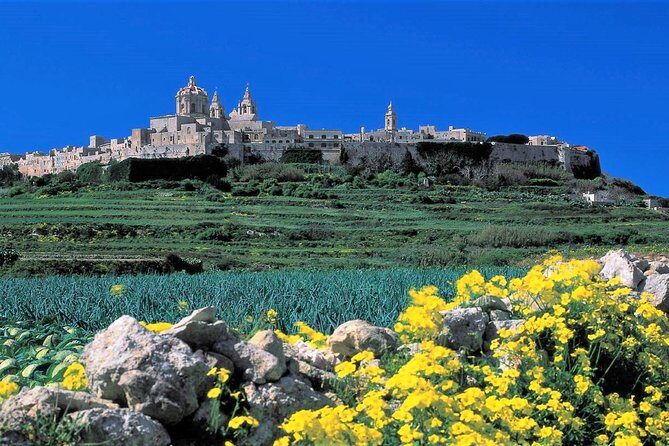 Private guided Malta shore excursion with a professional guide and transport - What Makes This Tour Stand Out?