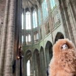 Private Guided Mont Saint Michel & D-day tour from Paris - Transportation & Comfort: What to Expect