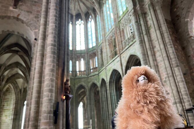 Private Guided Mont Saint Michel & D-day tour from Paris - Transportation & Comfort: What to Expect