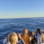 Private Guided Sunset Dolphin Watching in Adriatic Sea - The Journey Begins: Searching for Dolphins