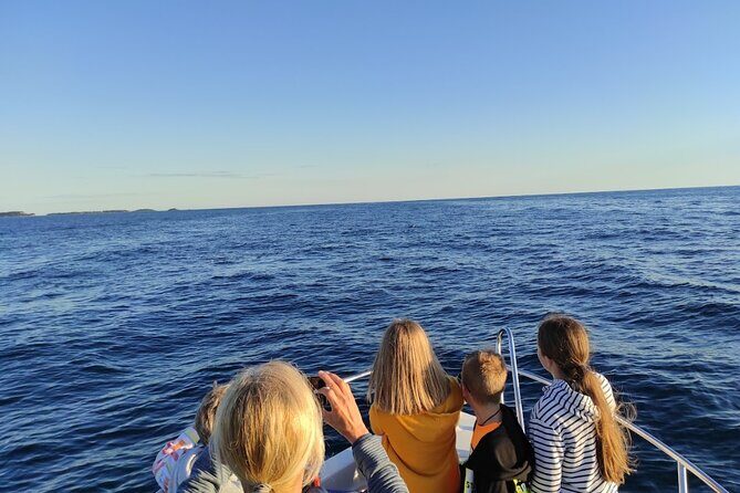 Private Guided Sunset Dolphin Watching in Adriatic Sea - The Journey Begins: Searching for Dolphins