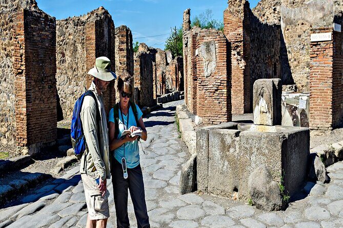 Private Guided Tour in Pompeii - Potential Drawbacks and Considerations