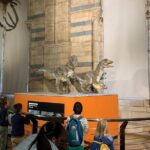 Private Guided Tour of Natural History Museum - Skip the Line - Who Should Book This Tour?
