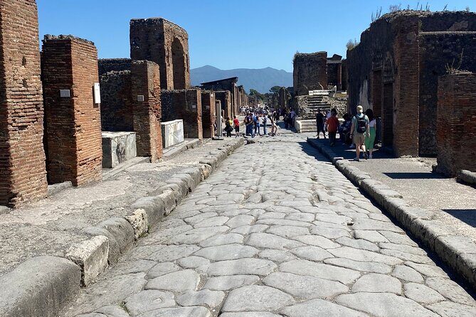 Private Guided Tour of Pompeii Excavations - Who Should Consider This Tour?