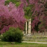 Private Guided Tour of the Archaeological Site and Museum of Olympia - FAQ