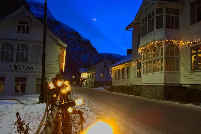 PRIVATE GUIDED TOUR: The Heart of Norway Viking Special, 8-9 hours WINTER - The Practical Sides of the Tour