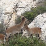 Private Guided Tour to Torcal de Antequera - Frequently Asked Questions