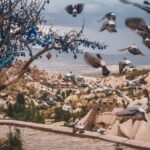 Private Guided Underground City Tour - Analyzing the Cost and Value