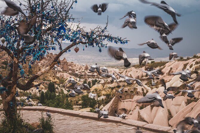 Private Guided Underground City Tour - Analyzing the Cost and Value