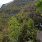 Private Guided Walk Levada 25 Fontes - Who Will Love This Tour?