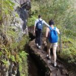 Private Guided Walk Levada Caldeirao Verde - Who Will Love This Tour?