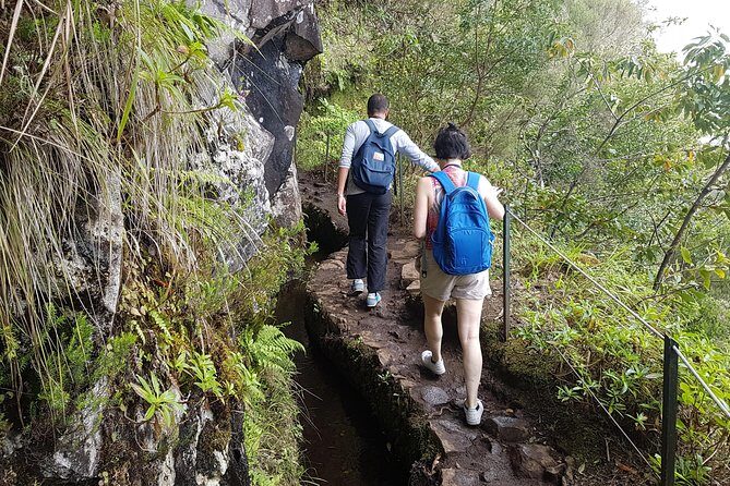 Private Guided Walk Levada Caldeirao Verde - Who Will Love This Tour?
