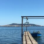 Private Half-Day Languedoc Wine and Oyster Tour from Sète - Why This Tour Offers Real Value