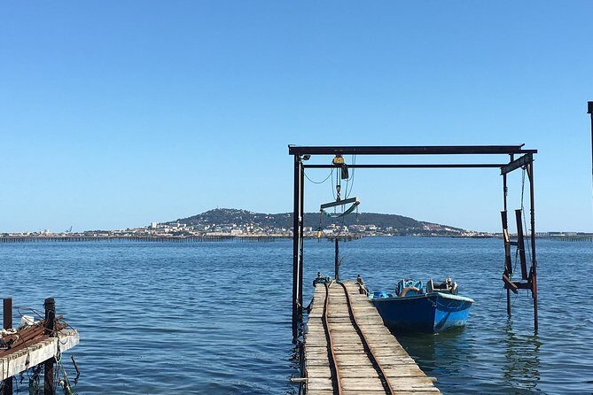 Private Half-Day Languedoc Wine and Oyster Tour from Sète - Why This Tour Offers Real Value