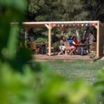 Private Half-Day Languedoc Wine Tour from Sète - Analyzing the Price and Value