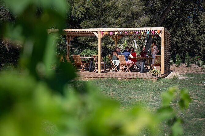 Private Half-Day Languedoc Wine Tour from Sète - Analyzing the Price and Value