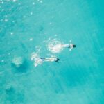 Private - Half day sailing on a modern 36ft from Zadar (up to 8 travellers) - An In-Depth Review of the Zadar Private Sailing Tour