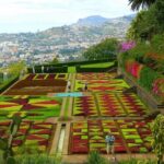 Private Half day tour around Madeira Island - What’s Included and What’s Not