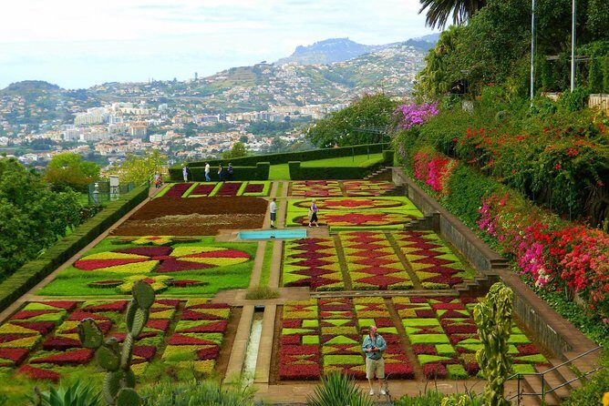 Private Half day tour around Madeira Island - What’s Included and What’s Not