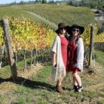 PRIVATE Half-Day Tour: Chianti Classico Wine Experience. - Transportation: Comfort and Convenience