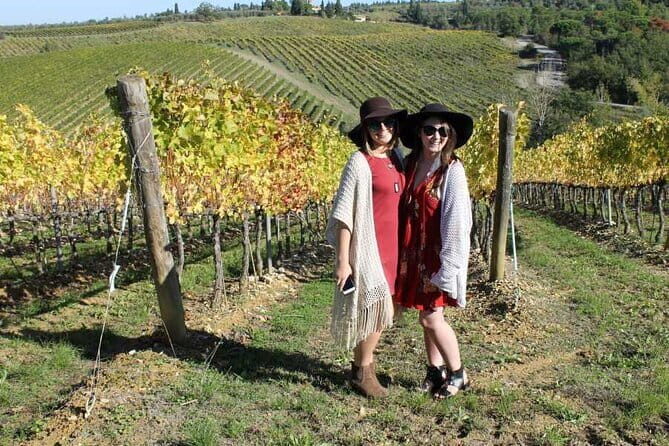 PRIVATE Half-Day Tour: Chianti Classico Wine Experience. - Transportation: Comfort and Convenience