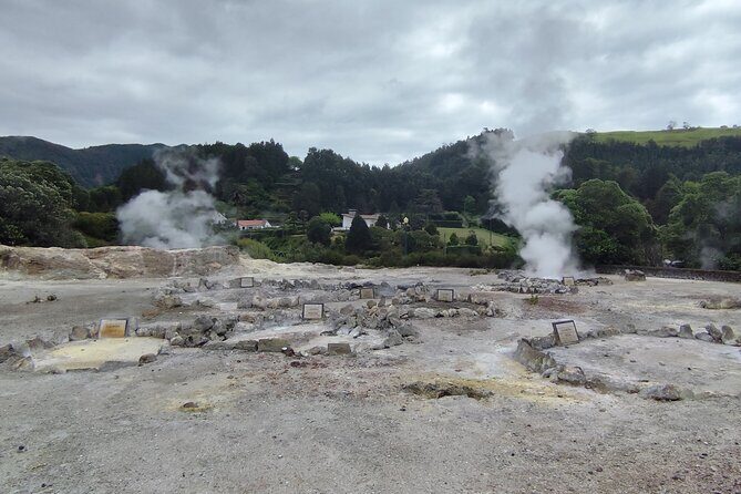 Private Half-Day Tour in Furnas São Miguel Island - An In-Depth Look at the Tour Experience