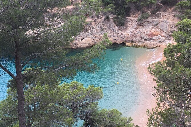 Private Half Day Tour in Monserrat with Driver - Authentic Experiences & Reviewer Insights