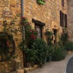 Private half-day tour to Golden Stone Beaujolais with tastings - Why This Tour Works Well