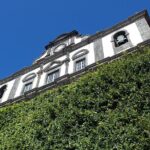 Private Half-Day Walking Tour of Horta Experience - Why This Tour Offers Great Value