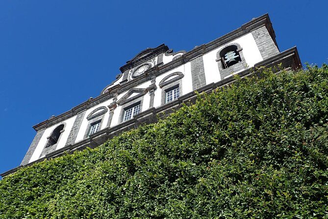 Private Half-Day Walking Tour of Horta Experience - Why This Tour Offers Great Value