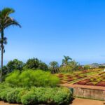 Private Halfday Madeira Garden Tour - The Gardens: What Makes Them Special?