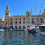 Private Harbor Cruise - Marsamxett & Grand Harbor Valletta - Who Will Love This Tour?
