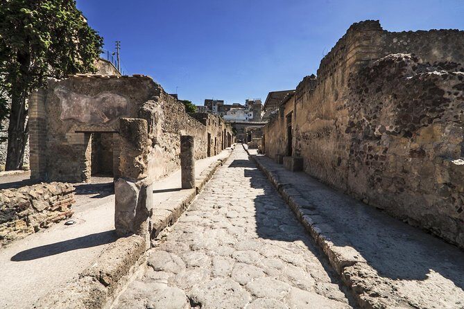 Private Herculaneum Guided Tour from Sorrento - Analyzing the Value and Practical Aspects