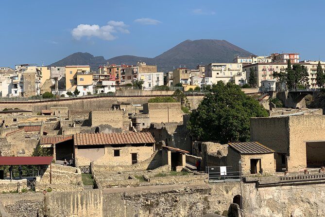 Private Herculaneum Guided Tour with an Archeologist - Why Choose the Private Herculaneum Guided Tour?
