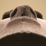 Private Highlights Tour of the British Museum - Who Should Consider This Tour?