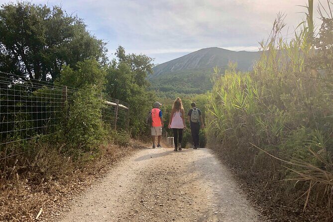 Private Hiking Adventure at Arrábida Mountain - Value and Pricing Analysis